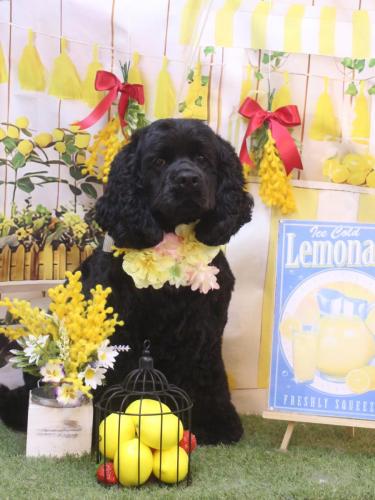 20240411天ちゃん